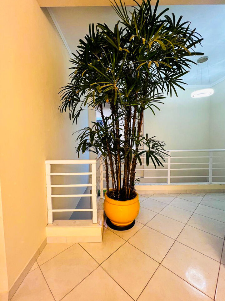 Foto 17