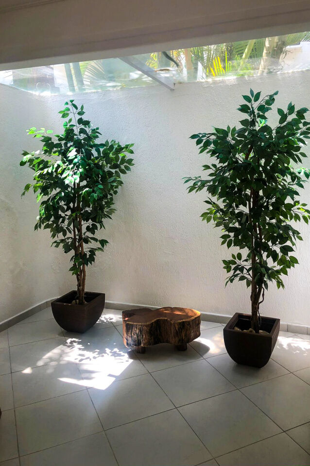 Foto 14