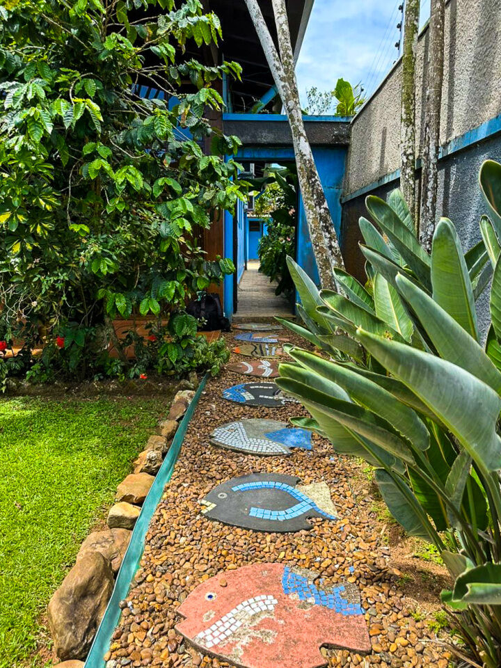 Foto 4
